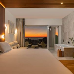 Suite con Cama King